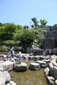 삼성산 시민공원에서 여름을 즐기는 아이들 의 사진45