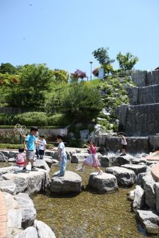 삼성산 시민공원에서 여름을 즐기는 아이들 의 사진47
