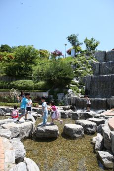 삼성산 시민공원에서 여름을 즐기는 아이들 의 사진49