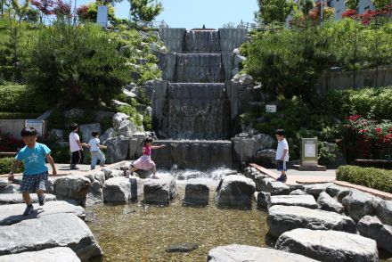 삼성산 시민공원에서 여름을 즐기는 아이들 의 사진50