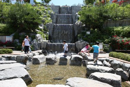 삼성산 시민공원에서 여름을 즐기는 아이들 의 사진57