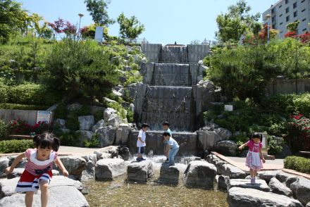 삼성산 시민공원에서 여름을 즐기는 아이들 의 사진61