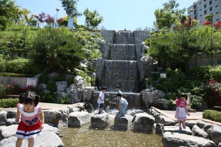 삼성산 시민공원에서 여름을 즐기는 아이들 의 사진62