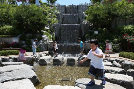 삼성산 시민공원에서 여름을 즐기는 아이들 의 사진63