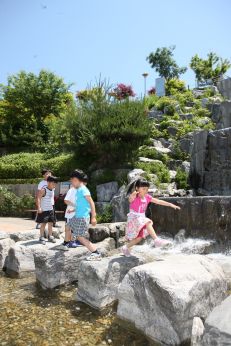삼성산 시민공원에서 여름을 즐기는 아이들 의 사진67