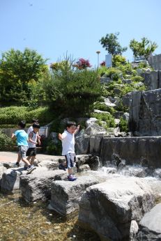 삼성산 시민공원에서 여름을 즐기는 아이들 의 사진71