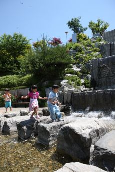 삼성산 시민공원에서 여름을 즐기는 아이들 의 사진73