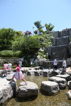 삼성산 시민공원에서 여름을 즐기는 아이들 의 사진75