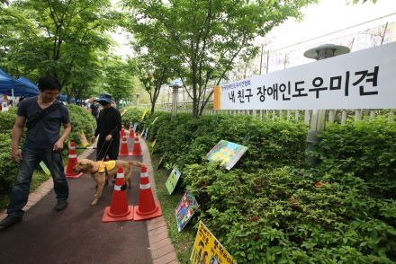 장애인개선인식 한마당행사 의 사진
