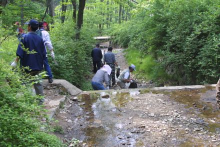깨끗한 금천가꾸기 시범행사 의 사진