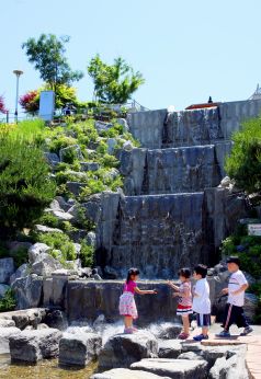 삼성산 시민공원에서 여름을 즐기는 아이들 의 사진78