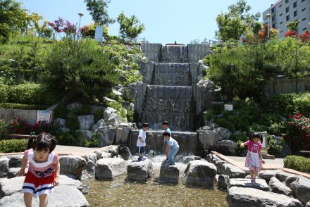 삼성산 시민공원에서 여름을 즐기는 아이들 의 사진79