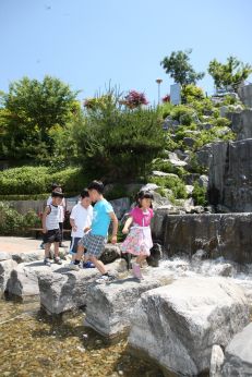 삼성산 시민공원에서 여름을 즐기는 아이들 의 사진80