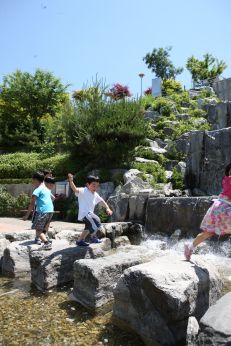 삼성산 시민공원에서 여름을 즐기는 아이들 의 사진81
