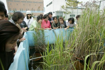 수도권 매립지 견학 의 사진26