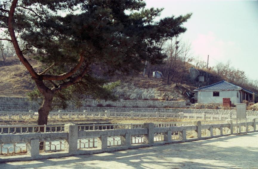 1996년 한우물 의 사진