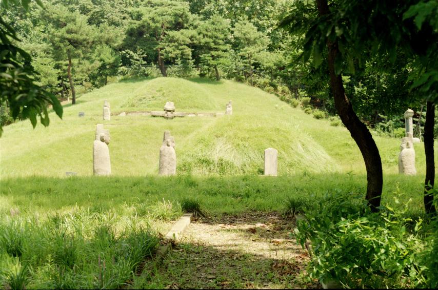 1996년 순흥안씨묘 의 사진