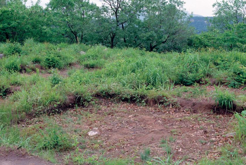 2001년 한우물 의 사진16