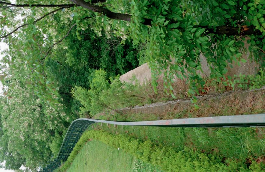 2001년 한우물 의 사진17