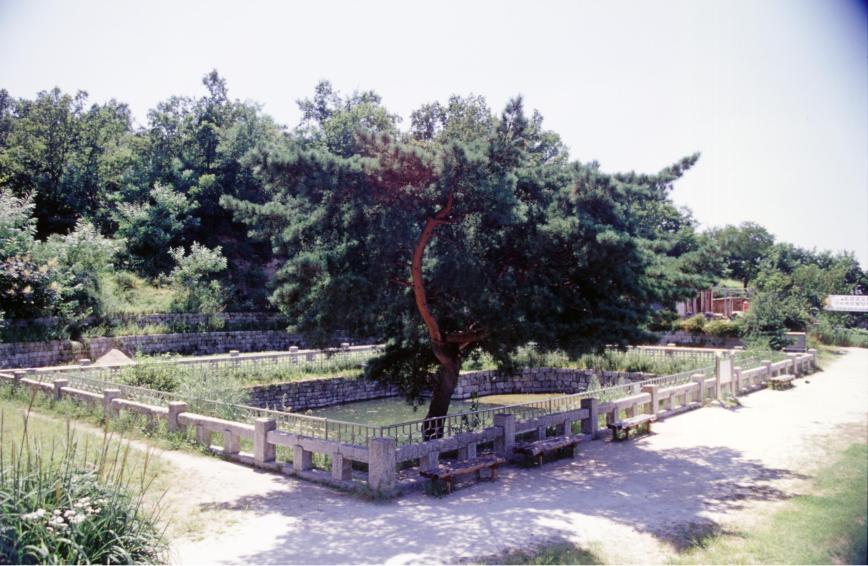 2001년 한우물 의 사진28