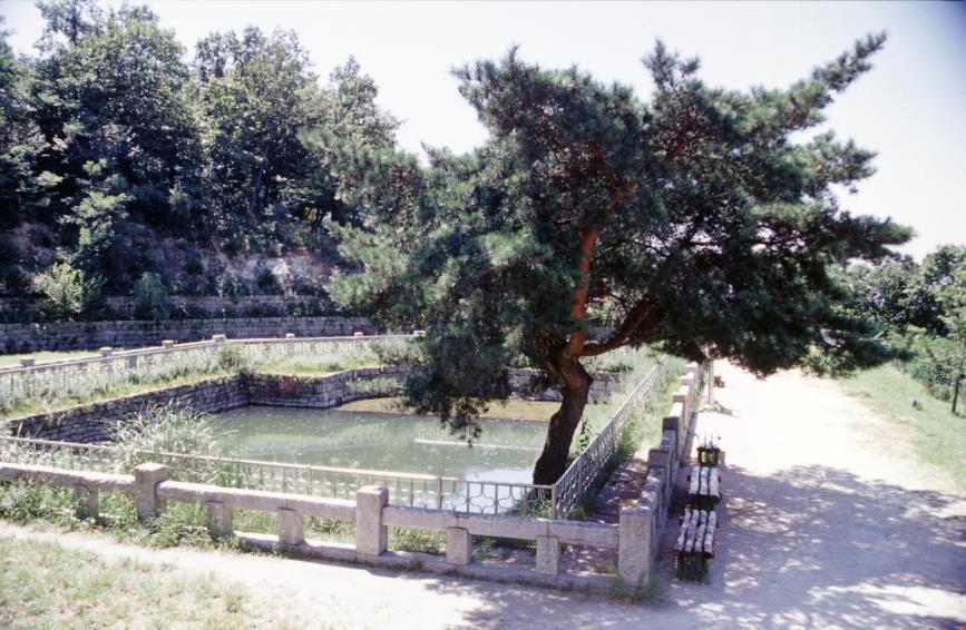 2001년 한우물 의 사진32