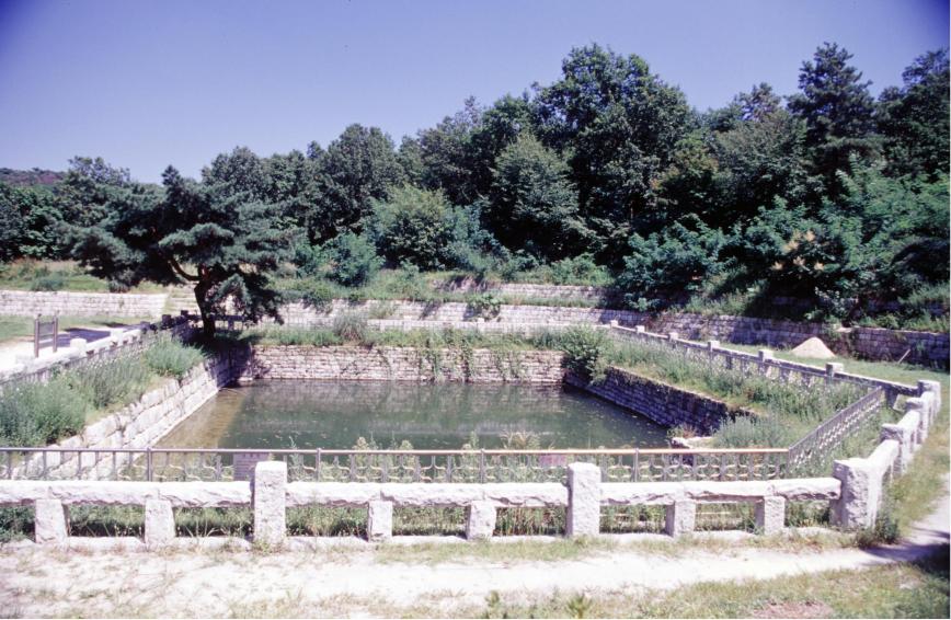 2001년 한우물 의 사진41