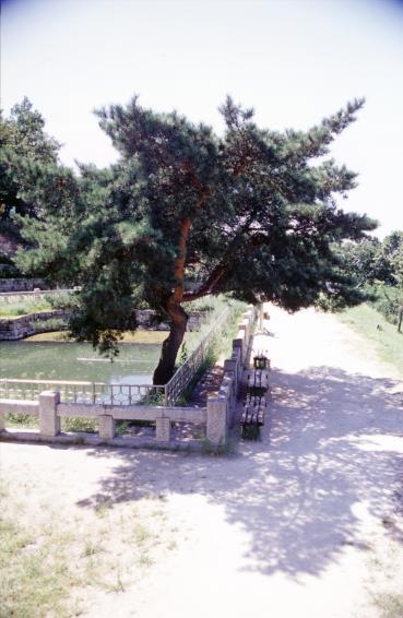 2001년 한우물 의 사진56