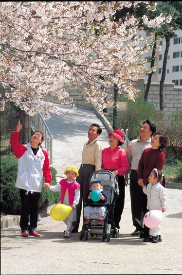 2002 벚꽃 과 가족 의 사진1