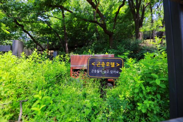 둘레길 의 사진52