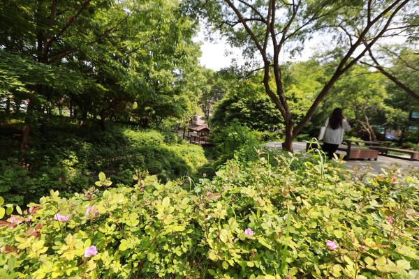 만수천공원 의 사진15