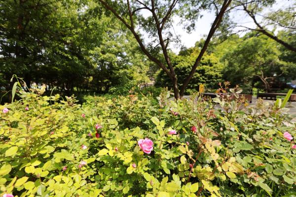 만수천공원 의 사진16