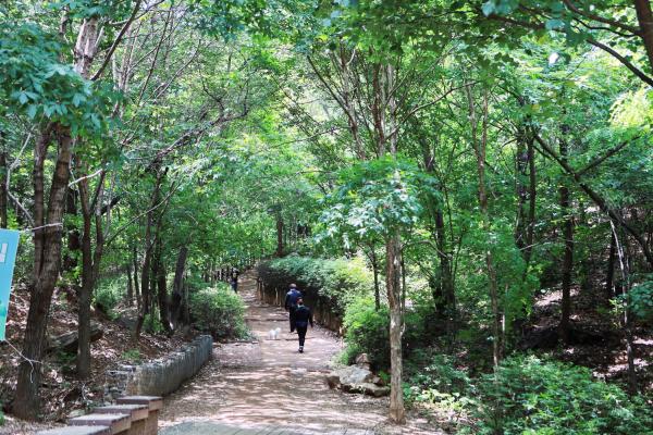만수천공원 의 사진19