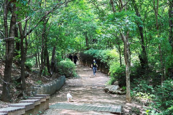 만수천공원 의 사진20
