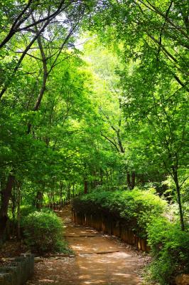 만수천공원 의 사진21