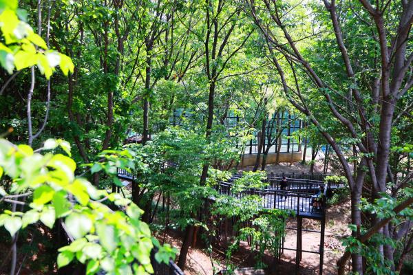 감로천 생태공원 의 사진44