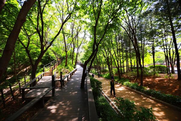 금천체육공원 의 사진3
