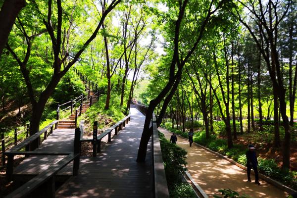 금천체육공원 의 사진4