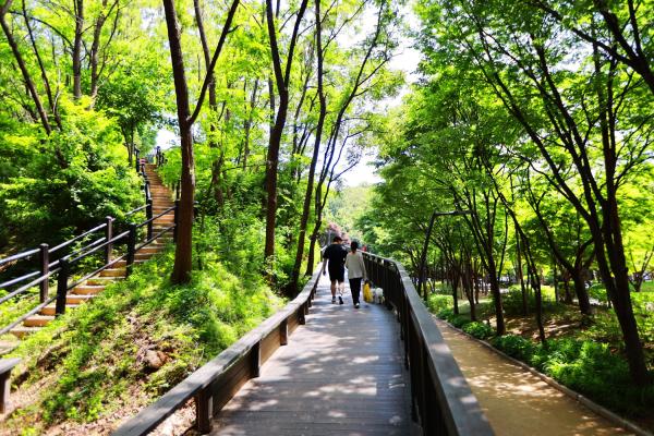 금천체육공원 의 사진5