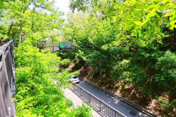 금천체육공원 의 사진12