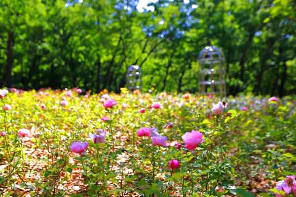 오미생태공원 의 사진9