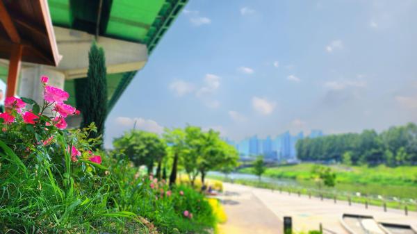 안양천주변 의 사진2