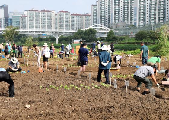 2024년 안양천 도시농업체험장 가을개장식 의 사진24