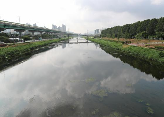 2024년 안양천 도시농업체험장 가을개장식 의 사진28