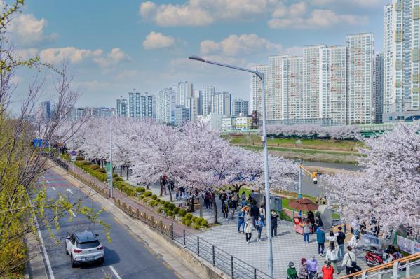 계절변화 의 사진9