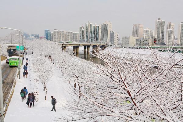 계절변화 의 사진10