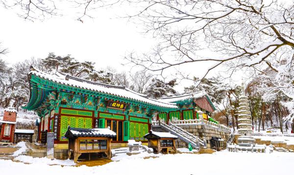 계절변화 의 사진17