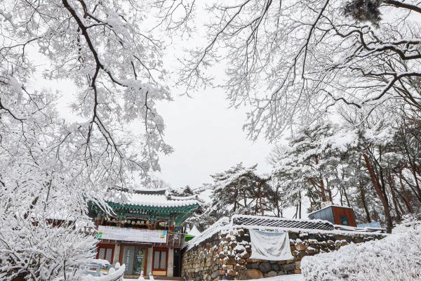 계절변화 의 사진18