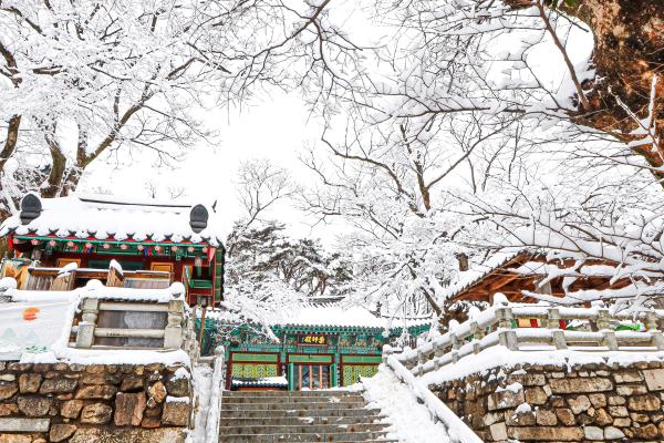 계절변화 의 사진19