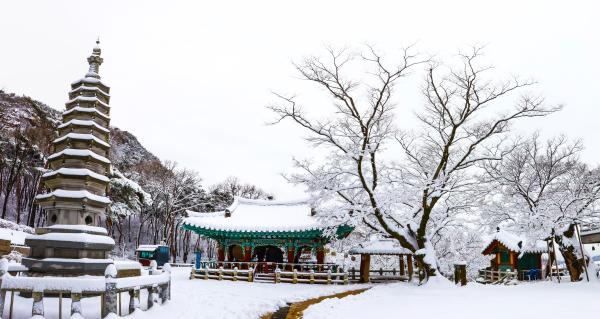 계절변화 의 사진21