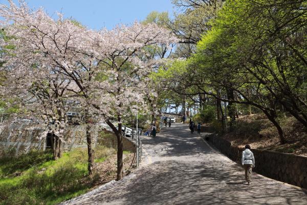 계절변화 의 사진22